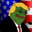 🐸Donald Frog🐸