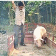 卧槽！谁干的？