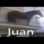 poopie juan