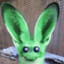 BugsAndCritters
