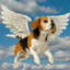 Flying Beagle