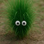 Grass