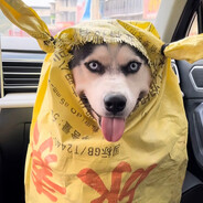 丢啊丢啊丢手绢