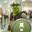Captain Shrek