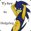 Tyler the hedgehog