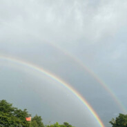 纯爱无敌牛战士