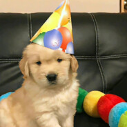 我改密码了你有本事再改我的名字啊？小何biss