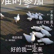 萌萌的信使棋手