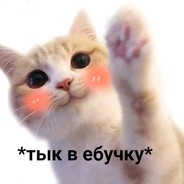 ЯКошечкаМЯУМЯУ