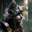 Vieux Chat