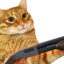 CAT WITH SHOTGUN