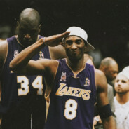 欲买桂花同载酒