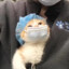 纸鸢可不短