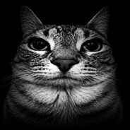 𝓡𝓞𝓜𝓘𝓚2003 Steam avatar