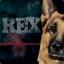 Komissar Rex