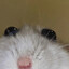 RobbieムSdw