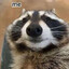超菜王馒头