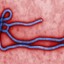 EBOLA