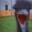 Tomek