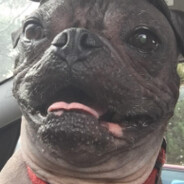 deffffff - steam id 76561198259022472