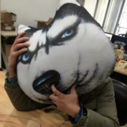 魔神哈士奇