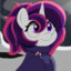 A Fancy Pony