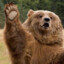 King Grizzly