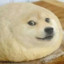 DOGE BREAD