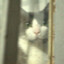 jag's avatar