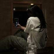 Hebi