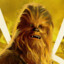 ChewBacca