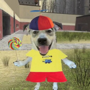 steko's avatar