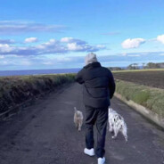 红细胞特别行动小组冷