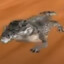 Cocodrillo