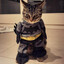 Catman