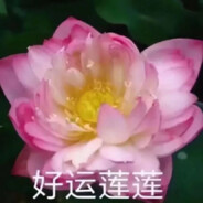刘桂芬