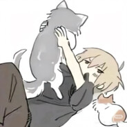 不关橙猫猫的事