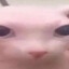 iLemonLimei