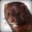 Mink