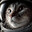 AstroCatNip's Avatar