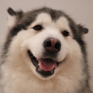 老王教了她很多知识