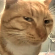 谁偷了老爹的大电