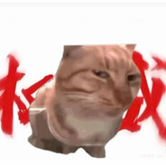 猕猴桃