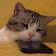 你理全世界就是不理我