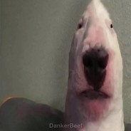 NinjaWalter 1337 hellcase.com