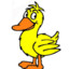 DuckingDuck