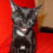 TheMAXX - steam id 76561197960729663