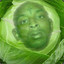 21 Cabbage