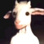 Mistimagi