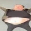 whale oil addict (1989-2025)